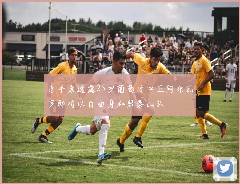 李平康透露25岁葡萄牙中卫阿尔瓦罗即将以自由身加盟泰山队